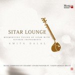 Sitar Lounge - Pandit Vishwa Mohan Bhatt Song Download